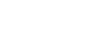 AIM LOGO